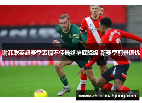 谢菲联英超赛季表现不佳最终垫底降级 新赛季前景堪忧